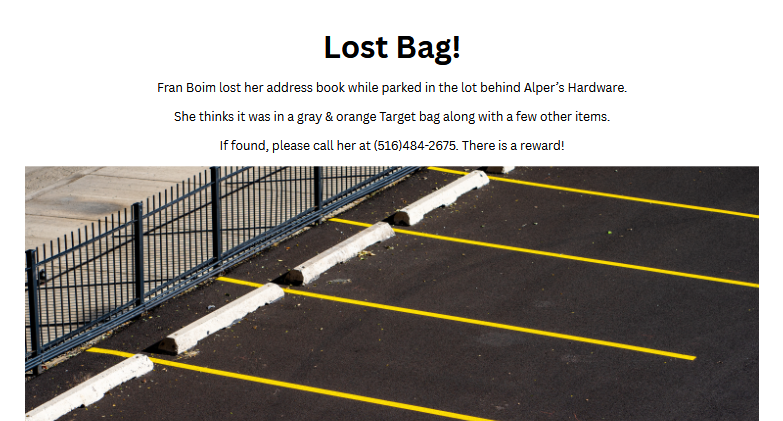 Lost Bag!